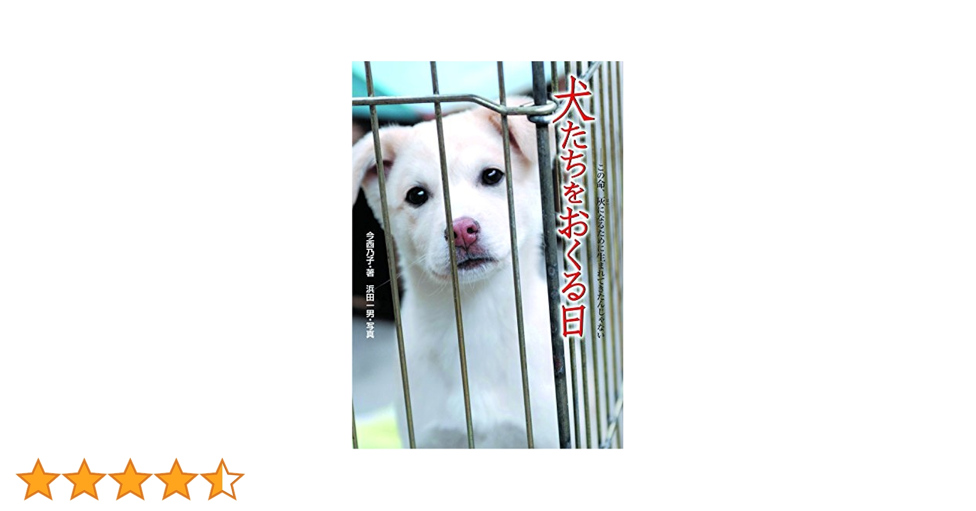 Amazon.co.jp: 犬たちをおくる日: この命、灰になるために生まれ